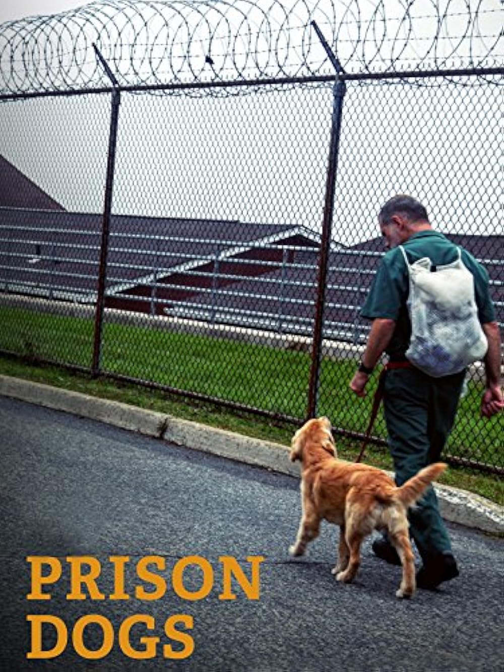     Prison Dogs